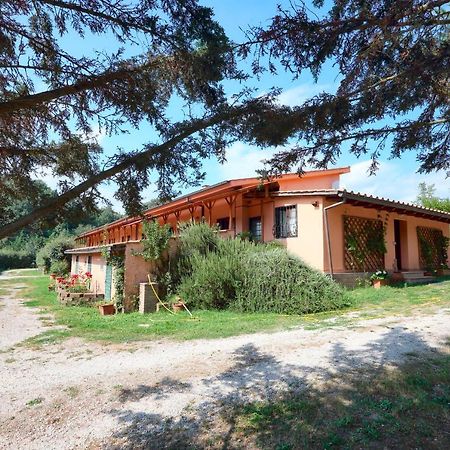 Hostel La Dimora Degli Etruschi Civitella Cesi Exterior foto