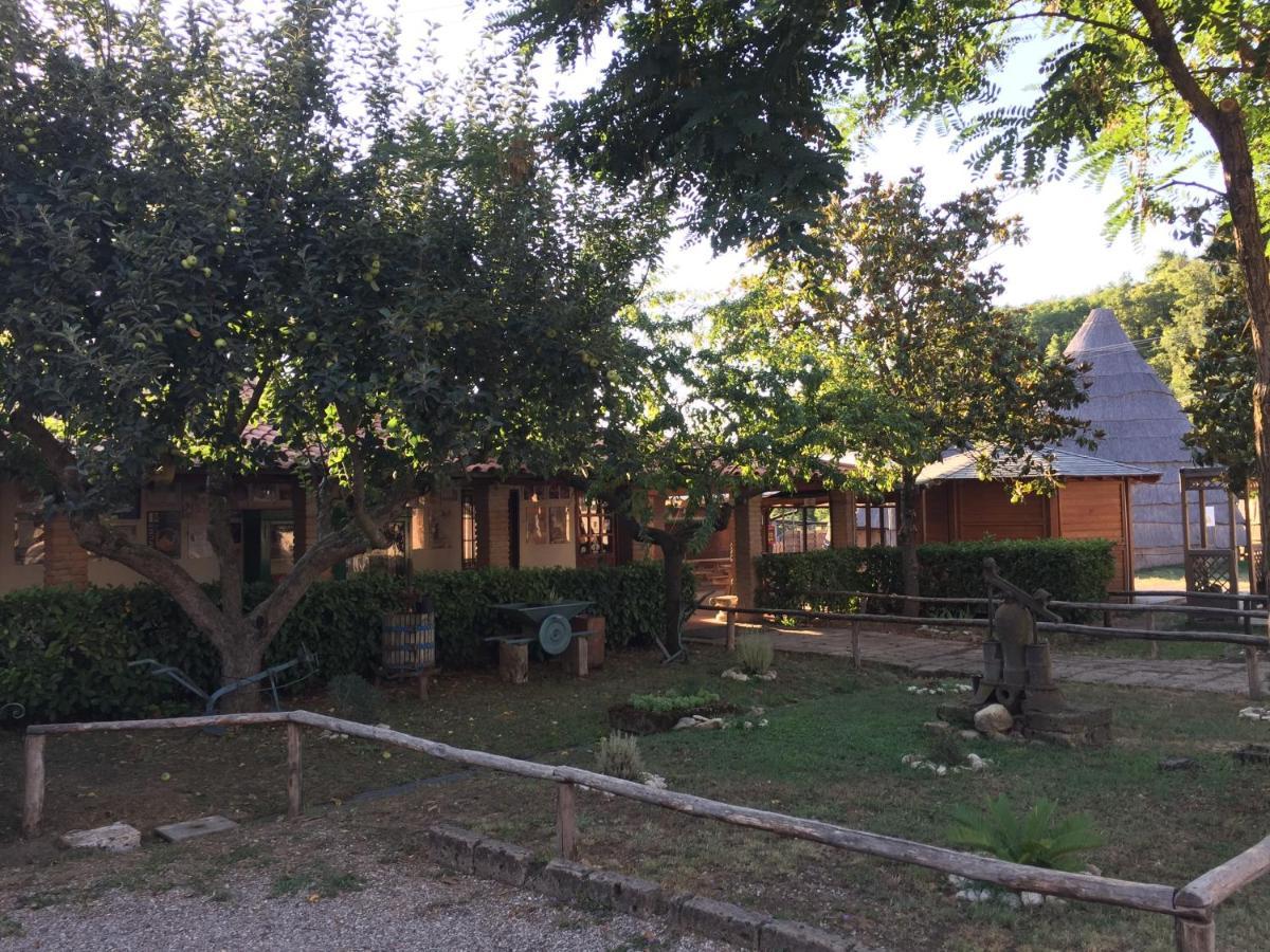 Hostel La Dimora Degli Etruschi Civitella Cesi Exterior foto