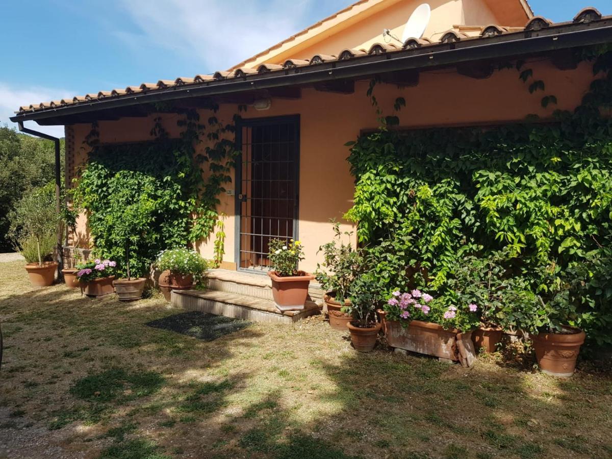 Hostel La Dimora Degli Etruschi Civitella Cesi Exterior foto